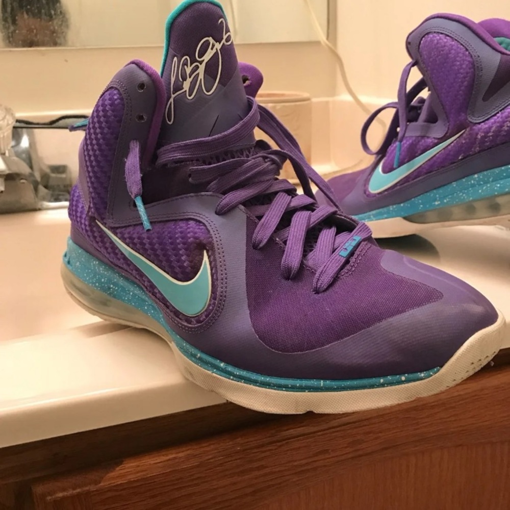 Lebron 9 Hornet